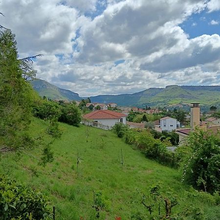 Gite Des Grands Causses Millau Eksteriør billede